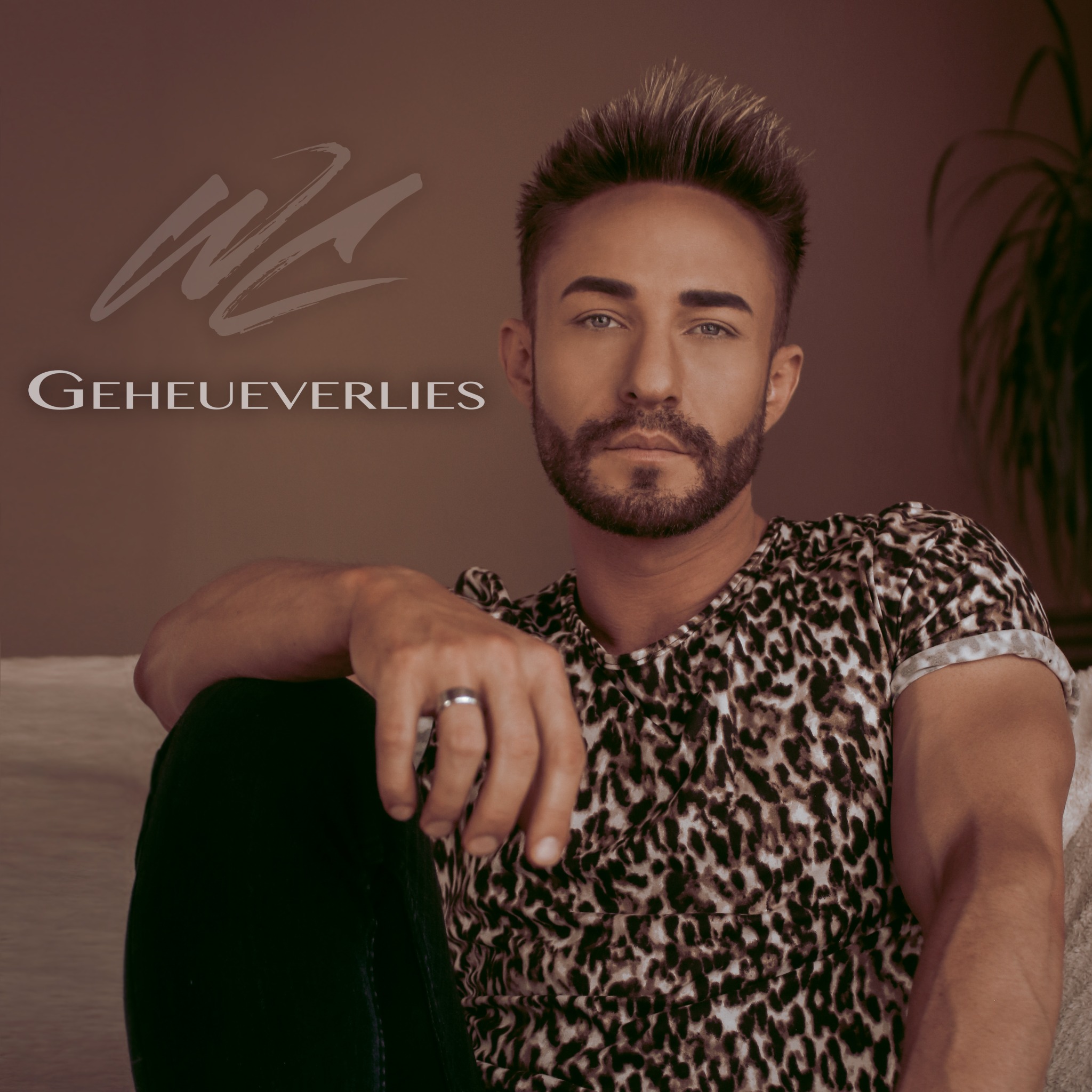 Geheueverlies single artwork