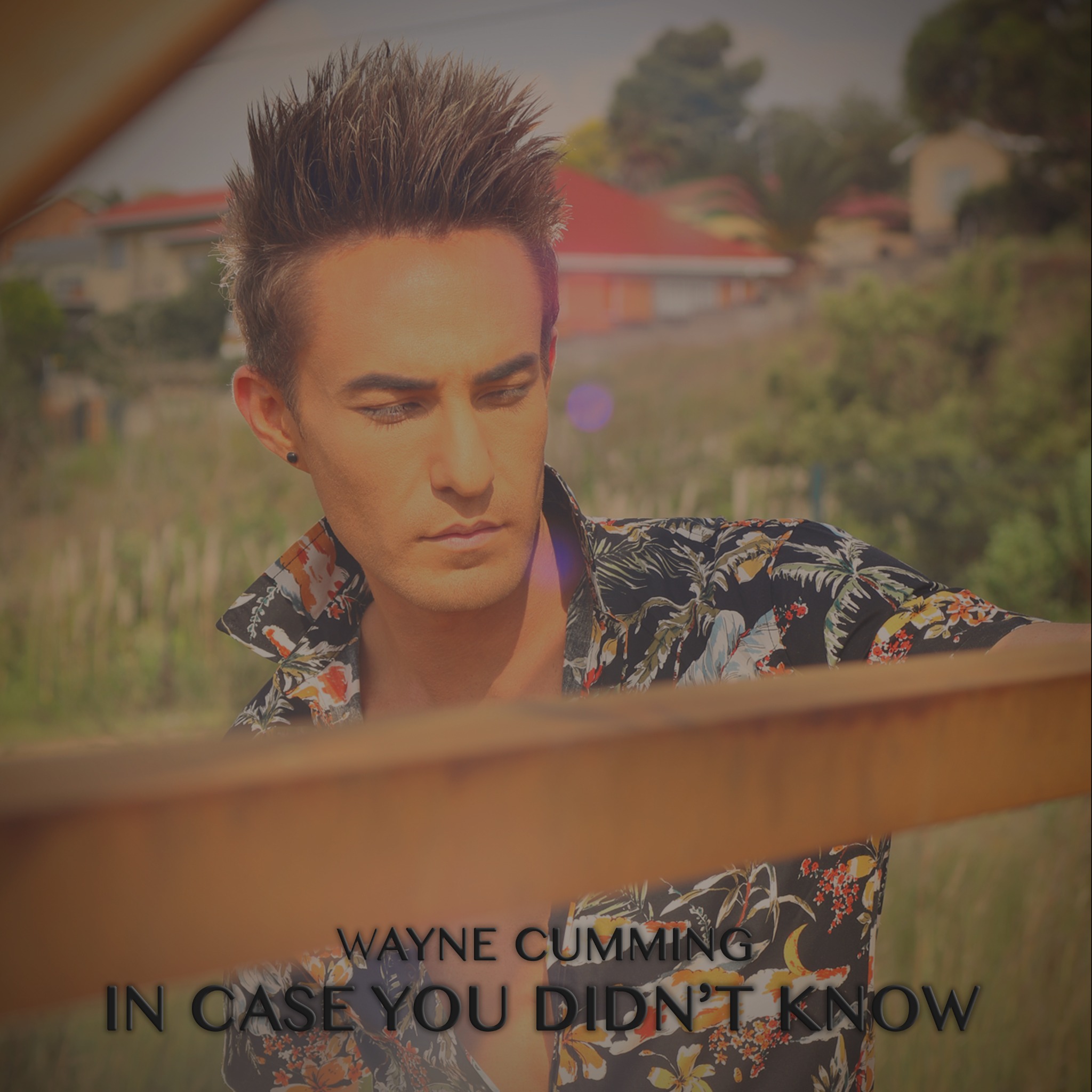 In Case You Didn't Know single artwork
