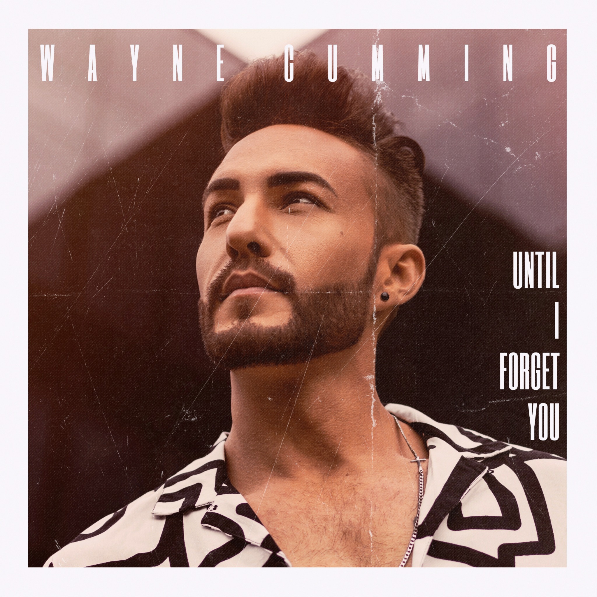 Until I Forget You artwork
